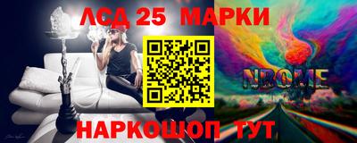 СК Сланцы