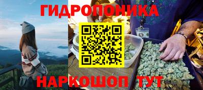 СК Сланцы