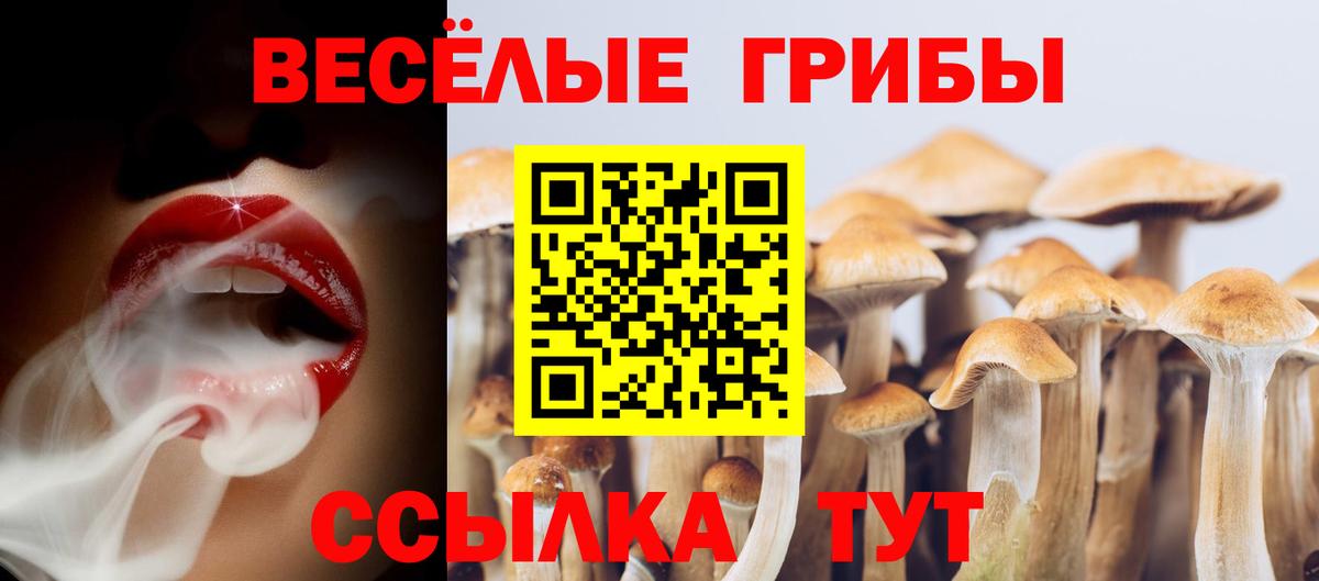 Галлюциногенные грибы мухоморы Нижнекамск
