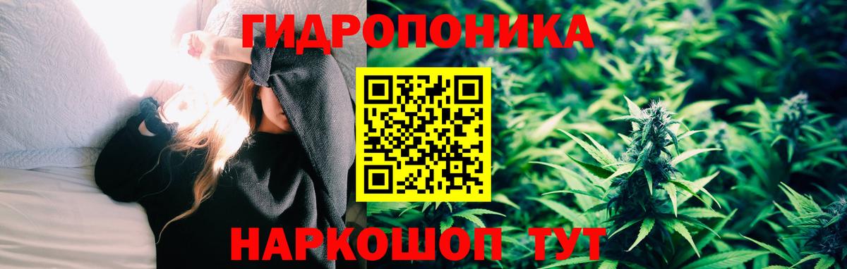 Нижнекамск  Марихуана тримм  Вход с VPN  Конопля White Widow 
